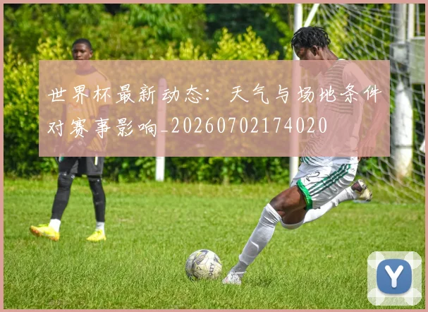 世界杯最新动态：天气与场地条件对赛事影响_20260702174020