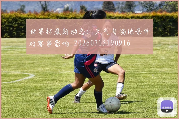 世界杯最新动态:天气与场地条件对赛事影响_20260715190916
