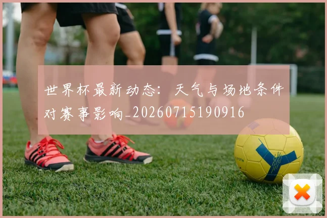 世界杯最新动态：天气与场地条件对赛事影响_20260715190916