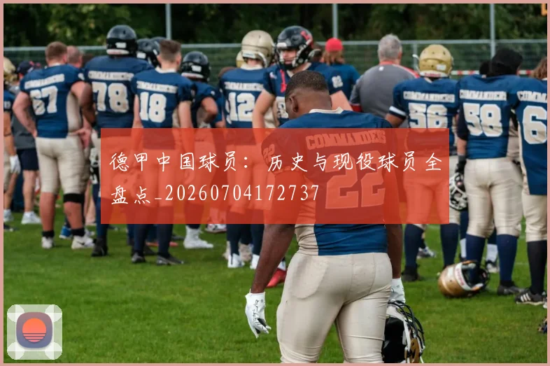 德甲中国球员：历史与现役球员全盘点_20260704172737
